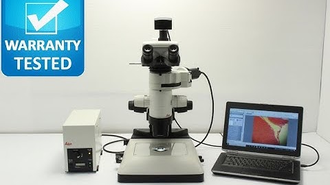 Leica MZ10 F Fluorescence Stereoscope Stereo Microscope [BOSTONIND] - 31312 #1