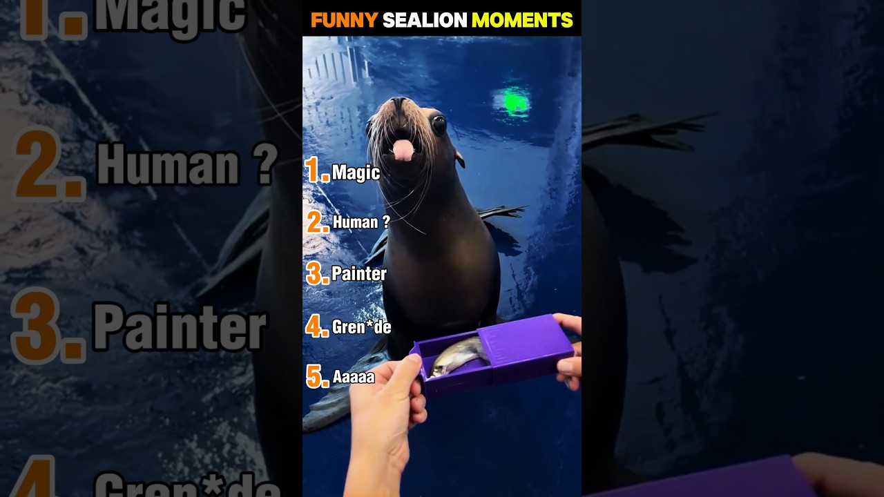 Sea Lions Being Absolute Clowns 😂🦭 | Funniest Sea Lion Moments #sealion