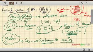 Hemoglobin structure & function (11-2015) by Dr Khaled A Abulfadle