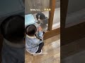 毎日幸せ、出会えて本当に良かった🧡🐶#バーニーズマウンテンドッグ#わんこ #犬 #愛犬 #犬のいる暮らし #犬のいる生活 #ペット