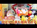 子供でも取れるクレーンゲーム！優しい店・設定見つけた！Shooting at a Japanese arcade 【ドリームキャッチャー】