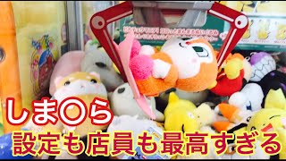 子供でも取れるクレーンゲーム！優しい店・設定見つけた！Shooting at a Japanese arcade 【ドリームキャッチャー】