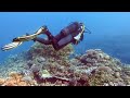 From Nudibranchs to Whale Sharks | Diving in Mafia Island | Chole Bay Tanzania 2021 | 4K-Video