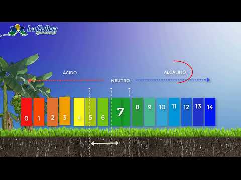 Video: ¿El fertilizante cambia el pH del suelo?