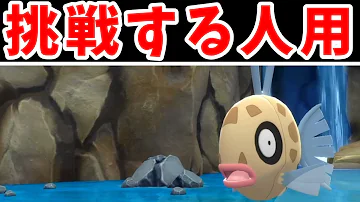 ポケットモンスター ヒンバスのきれいなウロコ ポケットモンスター ヒンバスのきれいなウロコ