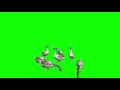 Green Screen Geese Animation