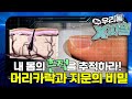 🔍나만의 특징이 있다고?! 머리카락과 지문 속 이야기｜#머리카락｜#지문｜#피부｜우리 몸 X파일｜[EBS놀이터]