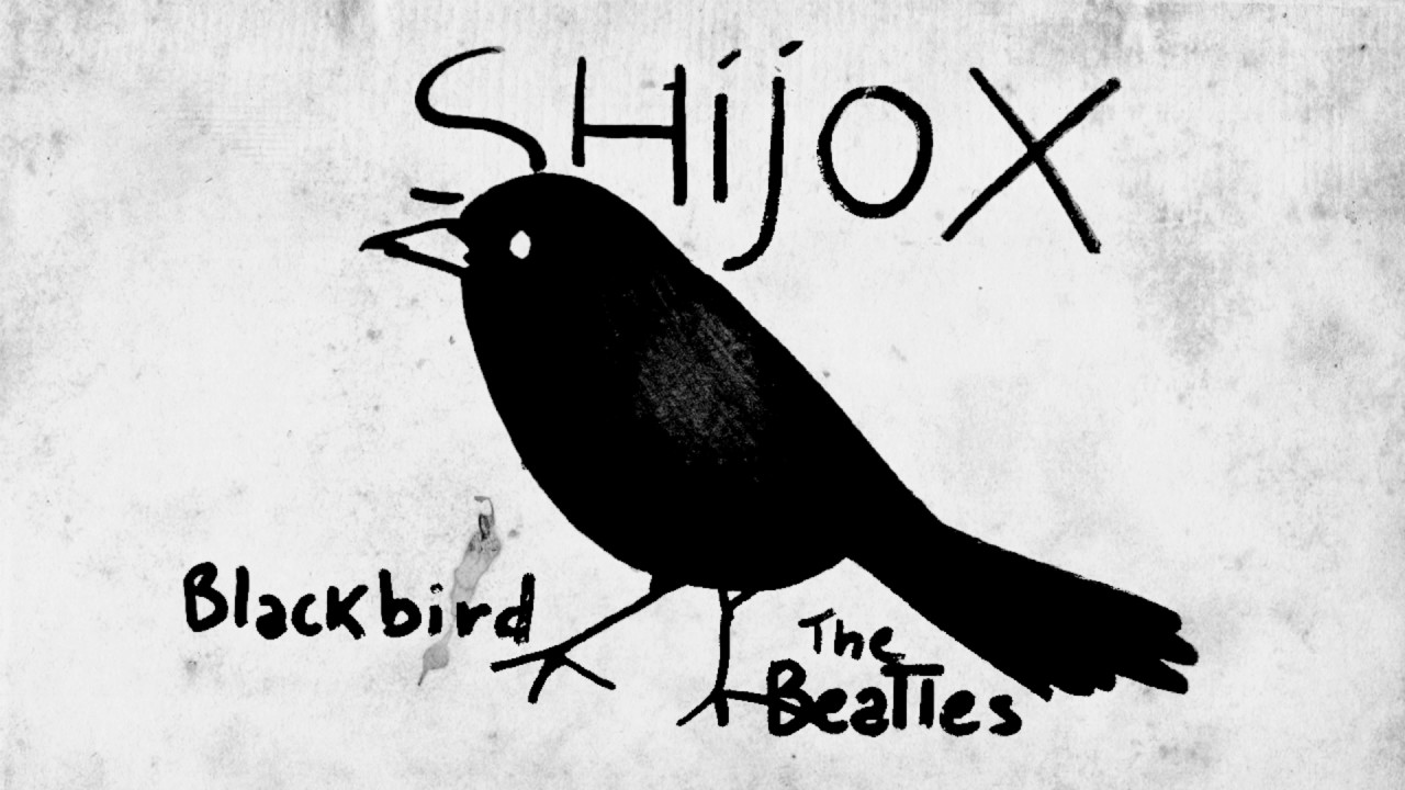 The Beatles Blackbird by SHIJO X YouTube