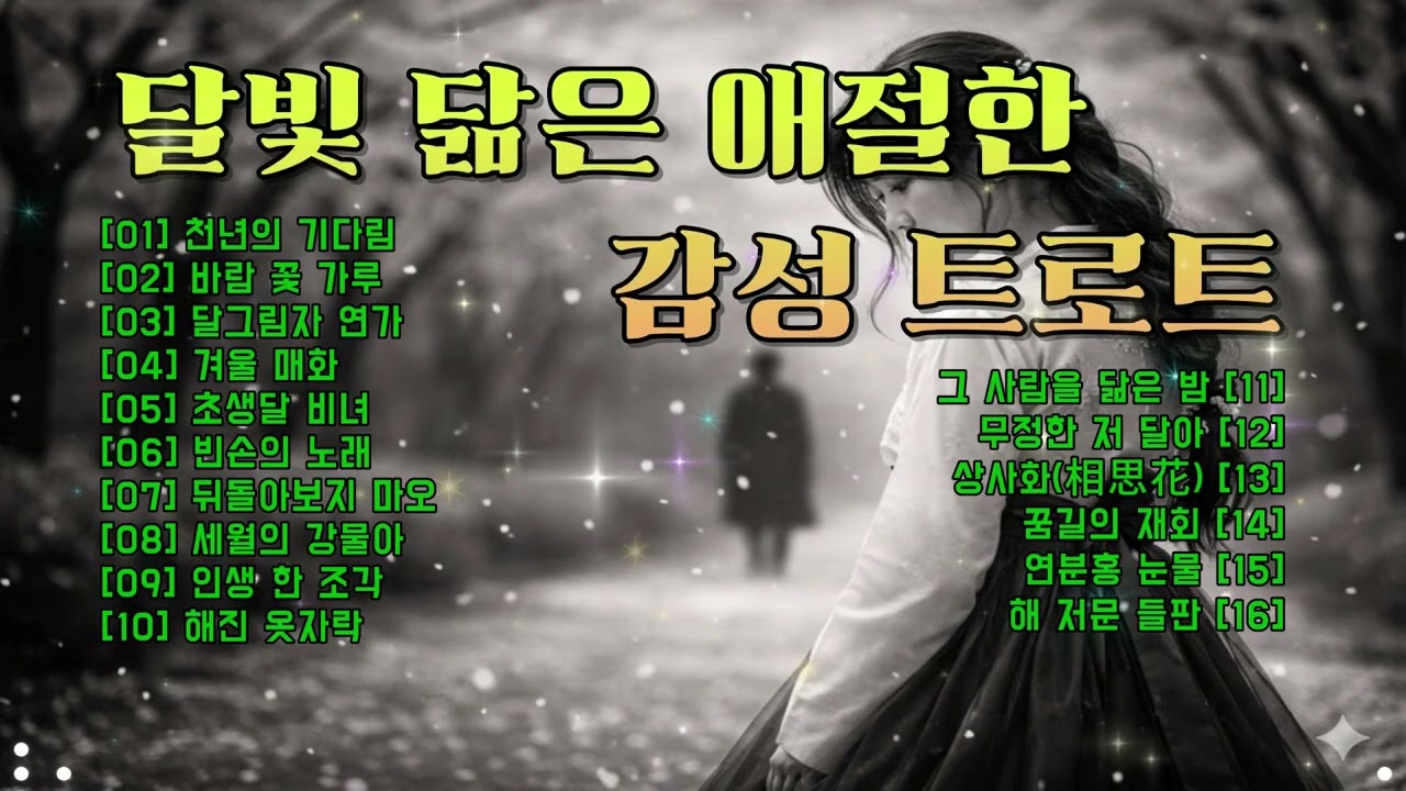 [식사동 김오빠] [감성 트로트] 🎶 달빛 닮은 애절한 감성 트로트. 정적을 깨는 애달픈 소리