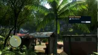Far Cry 3 Maxed out settings Directx 11 on pc.