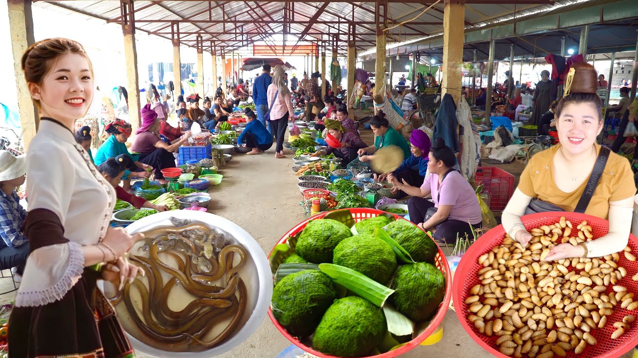 Рынок насекомых На Си Май Сон — крупнейший в Сон Ла, где продаются все виды насекомых.