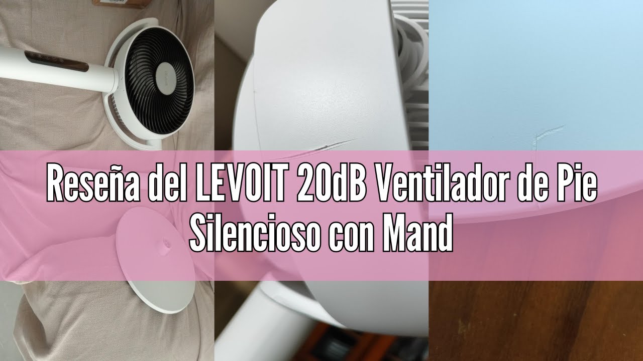 Levoit LPF-R432 Standventilator mit 4 Modi/12 Stufen für 89,99€ (statt 115