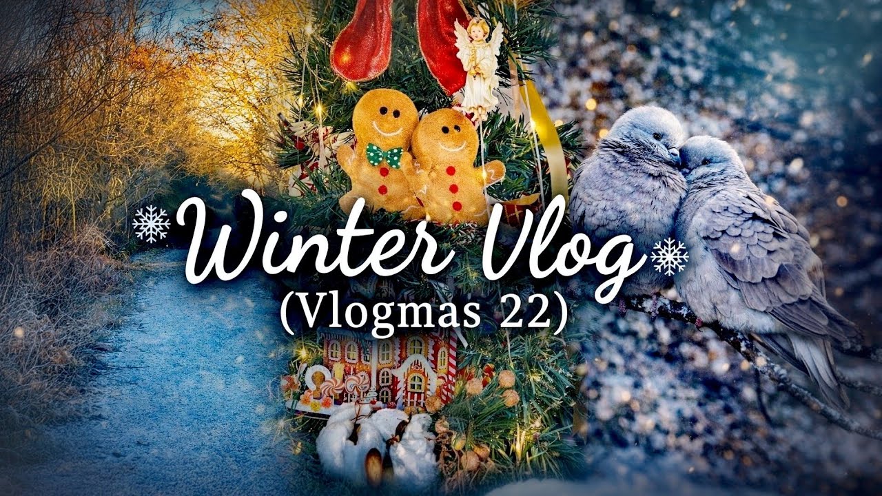 Winter Vlog ❄️ Cozy Days, Slow Living & Simple Joys | Vlogmas 22