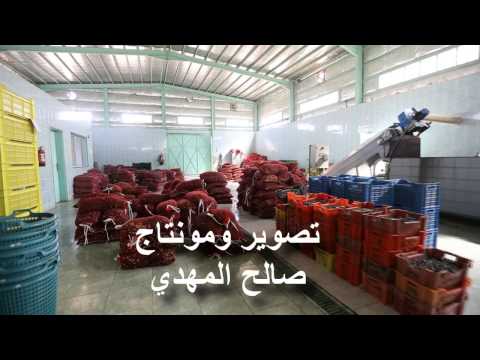 برنامج خاص عن معصرة الشمال لزيت الزيتون بمحافظة دومة الجندل