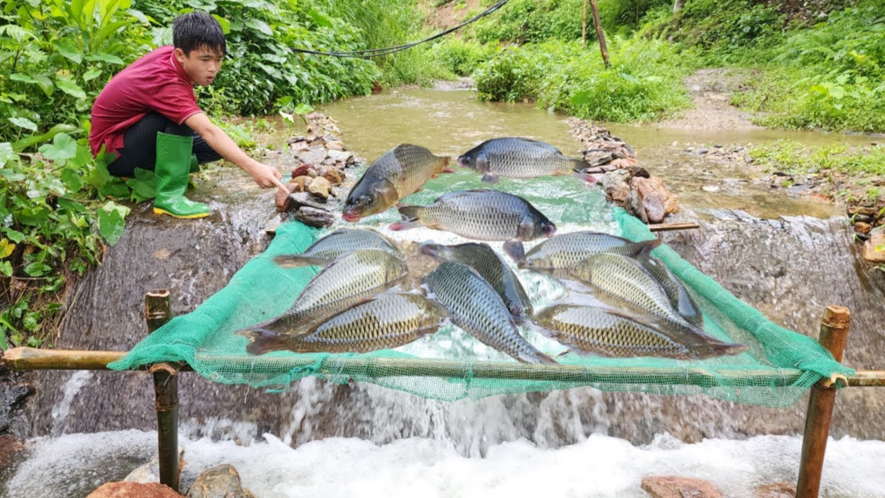 The boy Lam used bamboo and green net to make a very unique fish trap ...