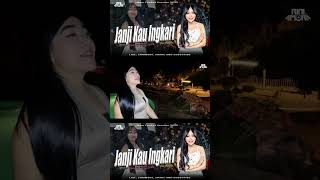 Download Lagu FUNKOT - JANJI KAU INGKARI (Voc. Milpan ) NEW FUNKOT VERSION 2025 !!! BY DJ RINI AMORA MP3 Download Lagu FUNKOT - JANJI KAU INGKARI (Voc. Milpan ) NEW FUNKOT VERSION 2025 !!! BY DJ RINI AMORA MP3