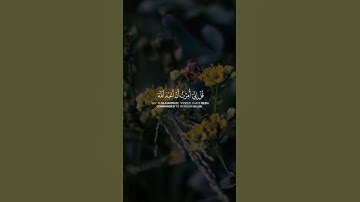 #حالات_واتس_اب_دينيه || سورة الزمر قل اني أمرت ان اعبد الله || ماهر المعيقلي