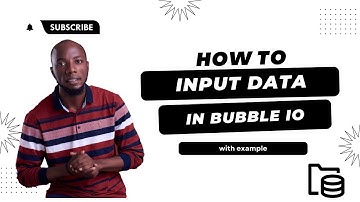 How to save Input data in bubble io