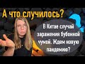 В Китае случай заражения бубонной чумой. Ждем новую пандемию?