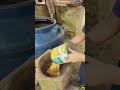 Alimentando a bicharada!