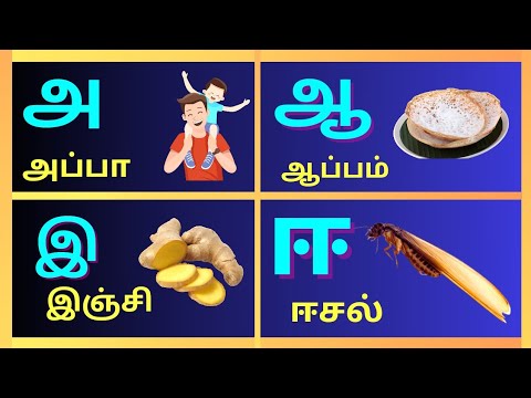Aaaaeiee/அஆஇஈ/Uyireluthukkal/உயிரெழுத்துக்கள்/Tamil Alphabets @PEEKABOO-ff8wq #uyireluthukkal