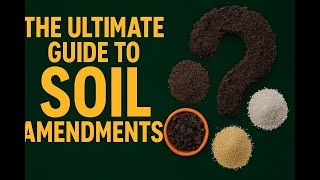 Stop Wasting Money: The Real Soil Amendments Growers Need