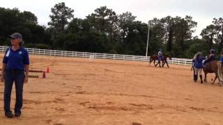 Kentucky Derby Day At SMART Stables In Bradenton