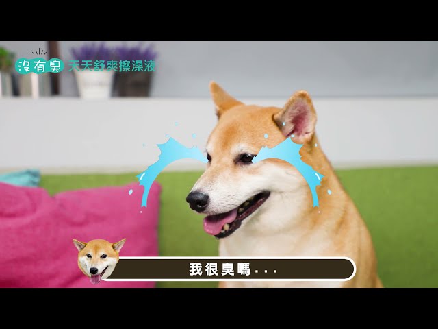 鄭嘉琪 - 【寵物】社群廣告_產品介紹影片