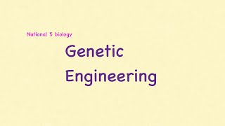 N5 Genetic Engineering-National 5 Higher & Advanced Higher Scottish Qualifiation course help.