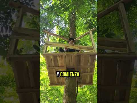 Mira cómo construyó