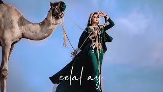 Celal Ay & Ehsan Daryadel - Dordoone (Remix 2024) | TikTok Remix #celalay Resimi