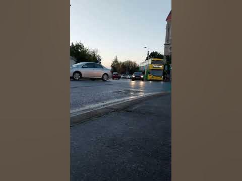 46a bus route st patricks day