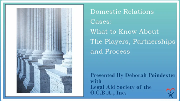 Domestic Relations Cases: What to Know About The P...