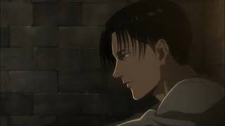 Leaving Levi || Levi x y/n