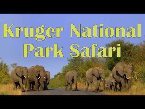 Video: Hoe om aan te trek vir 'n Safari (met foto's)