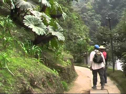 Video: Spāņu Valodas Studijas Gvatemalā: Quetzaltenango Pret Antigua - Matador Network