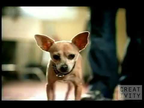 GEICO - audition (2002, USA)