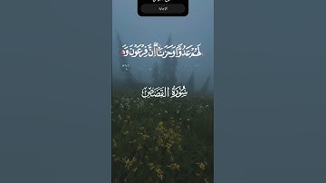 تلاوة من #القرآن_الكريم #عبدالباسط #المصحف #ببجي #اكسبلور