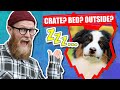 Where Should My AUSTRALIAN SHEPHERD PUPPY Sleep? の動画、YouTube動画。