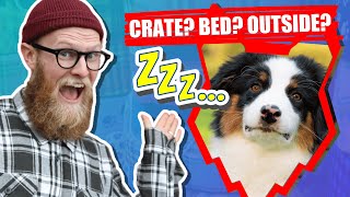 Where Should My AUSTRALIAN SHEPHERD PUPPY Sleep?