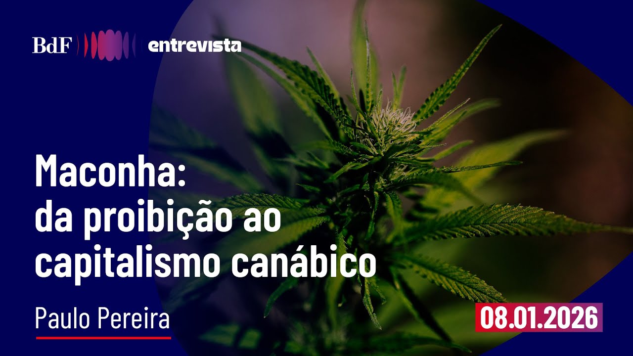 Maconha: da proibição ao capitalismo canábico | BdF Entrevista Paulo Pereira