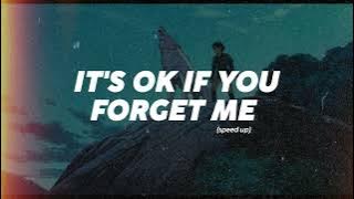 Download lagu Astrid S - It's Ok If You Forget Me (Speed Up)