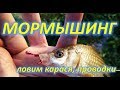 МОРМЫШИНГ, КАРАСЬ, ПРОВОДКИ