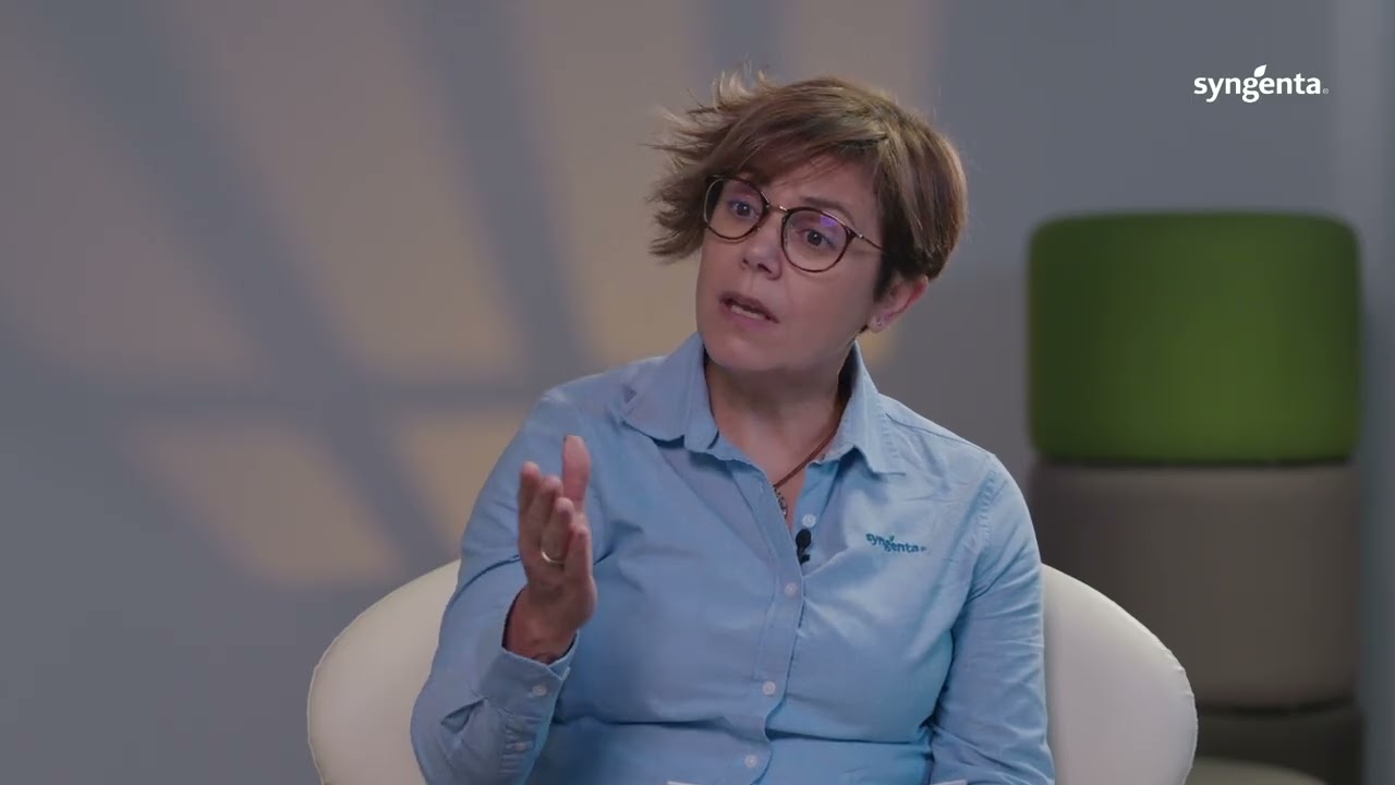 Si la nascencia flojea, el cultivo lo nota | CAP. 4 Patata | Syngenta España