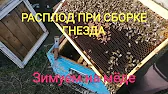 ПАСЕКА на РОЯХ # Apiary for swarms