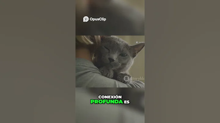 Watch the video about ¿Gatos Sphynx