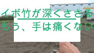 支柱を簡単に挿す方法！「ヌキサシ君」