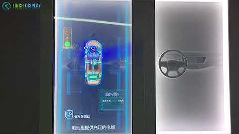 Linch Display Transparent OLED Touch Screen