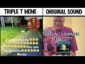 Triple T Meme Vs Original Sound mp3