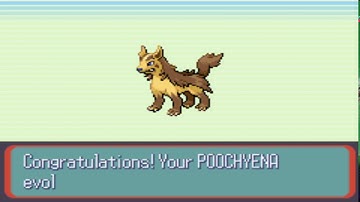 Pokemon Ruby - Shiny Poochyena evolves into Mightyena